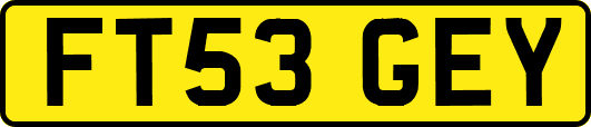 FT53GEY