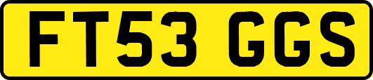 FT53GGS