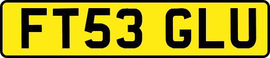 FT53GLU