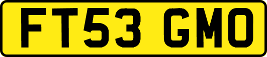 FT53GMO
