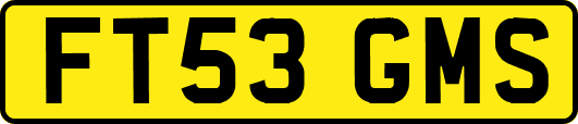 FT53GMS