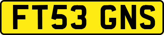 FT53GNS