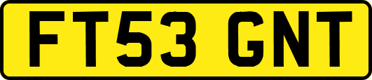 FT53GNT