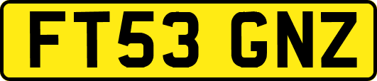 FT53GNZ