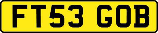 FT53GOB