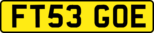 FT53GOE