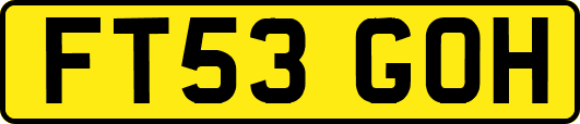 FT53GOH