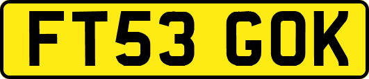 FT53GOK