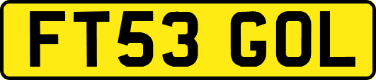 FT53GOL
