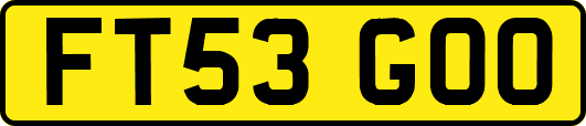 FT53GOO