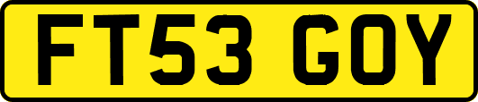 FT53GOY