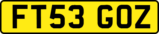 FT53GOZ