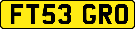 FT53GRO