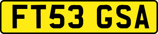 FT53GSA