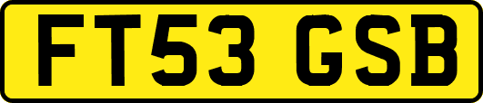 FT53GSB