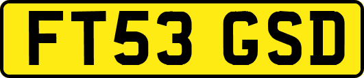 FT53GSD