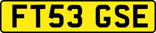 FT53GSE