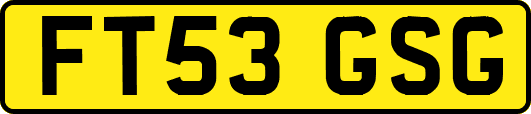 FT53GSG