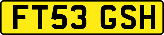 FT53GSH