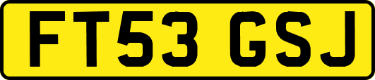 FT53GSJ