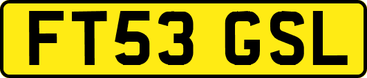 FT53GSL