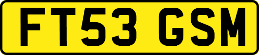 FT53GSM