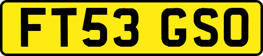FT53GSO