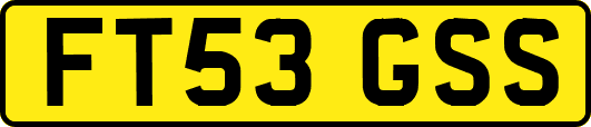 FT53GSS