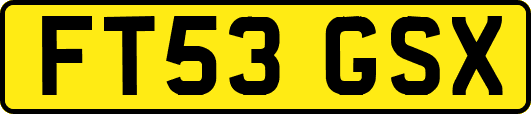 FT53GSX