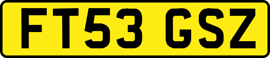 FT53GSZ