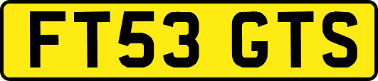 FT53GTS