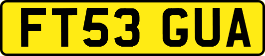 FT53GUA