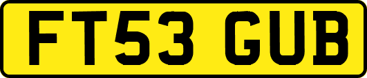 FT53GUB