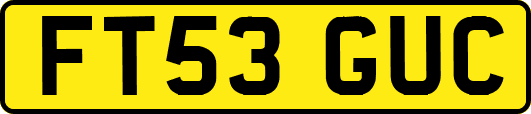 FT53GUC