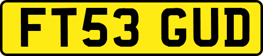 FT53GUD