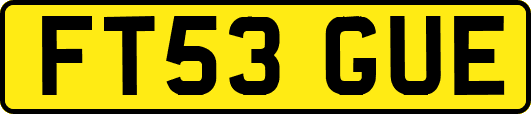 FT53GUE
