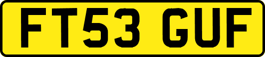 FT53GUF