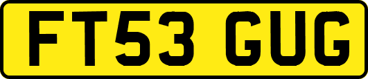 FT53GUG