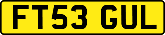 FT53GUL