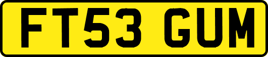 FT53GUM