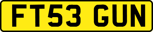FT53GUN