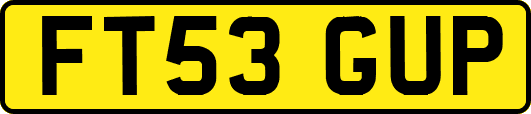 FT53GUP