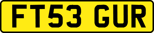 FT53GUR