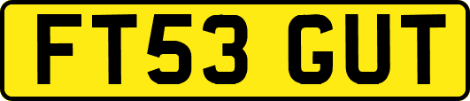 FT53GUT