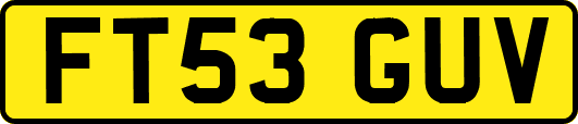 FT53GUV