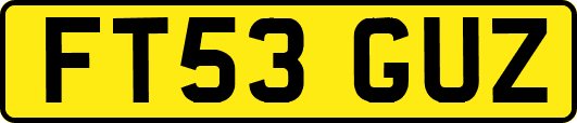 FT53GUZ