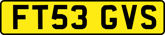 FT53GVS