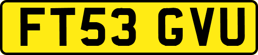 FT53GVU