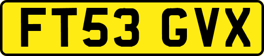 FT53GVX