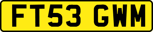 FT53GWM